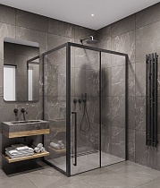 Боковая стенка Timo TSS-1000/03C-8 100x200 прозрачное, черный