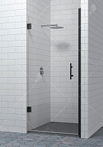 Душевая дверь RGW Hotel HO-011B 60x195, прозрачное стекло, черный