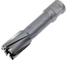 Фреза кольцевая TCT (20x55 мм; Weldon 19) Rotorica RT.4225020