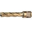 Сверло корончатое (16х55 мм; Weldon 19) LENZ LZHM-016