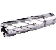 Фреза кольцевая №15 (22х55/88 мм; WELDON19; HSS M2) Профоснастка 40101015