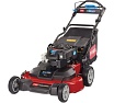 Самоходная бензиновая газонокосилка TORO TIME MASTER 21810 263427