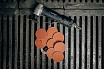 Диск быстросменный на винтовом креплении T QD-R, D=50 мм, P120 C-COOL Abraforce AFQD0TR50120CC