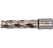 Сверло кольцевое (15х55 мм; HSS; Weldon 19) Euroboor HCL.150