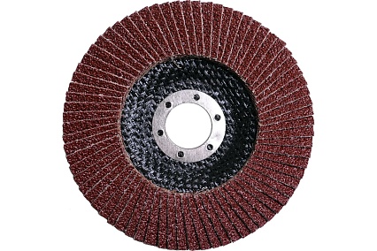 Круг лепестковый конический Flexione 125x22.2 мм, Р40 10000498