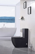 Унитаз CeramaLux 053 с сиденьем микролифт, черный матовый