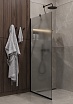 Душевая перегородка Timo TP-890/03F-8 89x195 матовое, черный