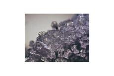 Стереоскопический микроскоп Bresser Erudit ICD 20x/40x 74313