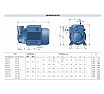 Насос Pedrollo PQm 65 41PNQ67A1