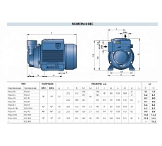 Насос Pedrollo PQm 65 41PNQ67A1