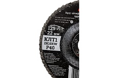 Круг лепестковый Professional 125х22.2 мм, P40, цирконий Gigant GNT-P40