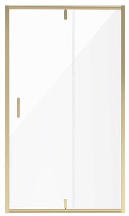 Душевая дверь Niagara Nova NG-43-10AG 100x190 прозрачный, золото