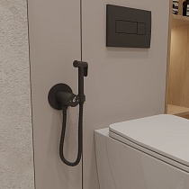 Смеситель Oliveeka Y-Line OL-829909-MB с гигиеническим душем, термостат, черный матовый