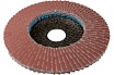 Диск лепестковый Flap 125x22 мм, Р60 Karbosan KAR-981460