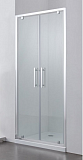 Душевая дверь SSWW LD60-Y22 100x195 профиль серебро