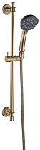 Душевой гарнитур Caprigo Parts 99-569-VOT бронза