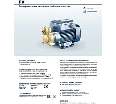 Насос Pedrollo PVm 60 - NBR 41PNV60A1