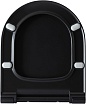 Крышка-сиденье Allen Brau Priority 4.31004.31 с микролифтом, черный матовый