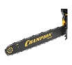 Бензопила Champion 256-18"-0,325-1,5-72 A256-18 + подарочный набор