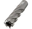 Сверло кольцевое (20х55 мм; HSS; Weldon 19) Euroboor HCL.200