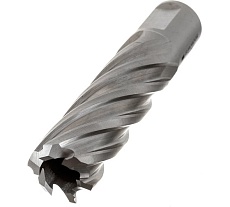 Сверло кольцевое (20х55 мм; HSS; Weldon 19) Euroboor HCL.200
