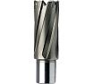 Фреза кольцевая HSS (21x55 мм) FE POWERTOOLS FE5521