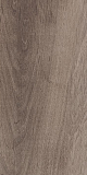 Плитка Laparet Plant коричневый 20х40 см, 00-00-5-08-01-15-2685