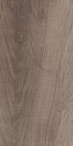 Плитка Laparet Plant коричневый 20х40 см, 00-00-5-08-01-15-2685
