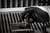 Прямая пневматическая машина карандашного типа DeBever с зажимной цангой 3 мм, 58 000 об/мин DB-2230