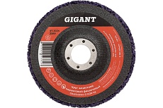 Диск абразивный коралловый фиолетовый 125х22 мм Gigant G-KOR-03
