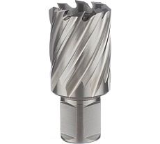 Фреза кольцевая 34х30/63 мм, WELDON 19, HSS M2, №128 ТМ Профоснастка 40102028