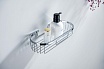 Полка Aquatek AQ4916CR хром