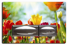 Кнопка смыва Creavit GP4009.04 тюльпан