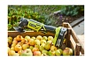 Многофункциональный инструмент Ryobi ONE+ R18MT-0 без аккумулятора в комплекте 5133002466