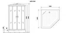 Душевая кабина Niagara Premium NG-6002-01GD 100x100