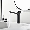 Смеситель для раковины Black&White Gravity GF-7109-MB черный матовый