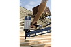 Гвоздезабиватель Bosch GSN 90-34 DK 0.601.491.301