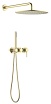 Душевой набор Timo Saona SX-2349/17SM матовое золото