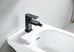 Смеситель для биде Aquatek Лира AQ1418MB черный матовый
