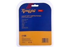 Набор для точных работ Тундра PRO 21 предмет 7461772