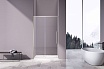 Душевая дверь Vincea Слим-Н (Slim-N) VDS-4SN120CLBN 120x195 брашированный никель, прозрачная