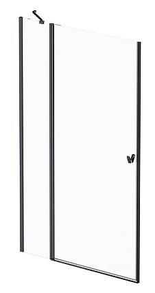Душевая дверь Am.Pm Sunny W87G-120-1P-BT 120x190 прозрачное, черный матовый