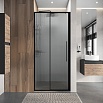 Душевая дверь Niagara Nova 100x195 рифленое, черный матовый NG-84-L10FHB