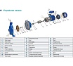 Центробежный насос AquamotoR ARCPm-750 AR152006