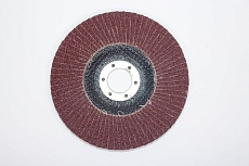 Лепестковые тарельчатые круги FLD-20 D125 мм, P60 R2R 8030-2012560