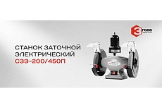 Электрический заточной станок Ставр Профессионал СЗЭ-200/450 П 9030800096