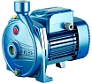 Насос Pedrollo CPm 100 44CI00A1