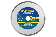 Диск алмазный Мастер (300х25.4 мм) Практика 038-951