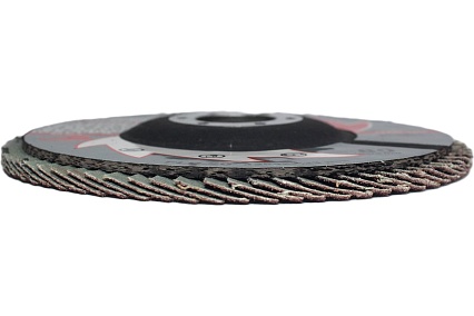Лепестковые тарельчатые круги (прямые) FLD-20 D125 мм, P80 R2R 8030-2012580