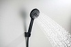 Душевой гарнитур Aquatek Бетта AQ2032MB черный матовый